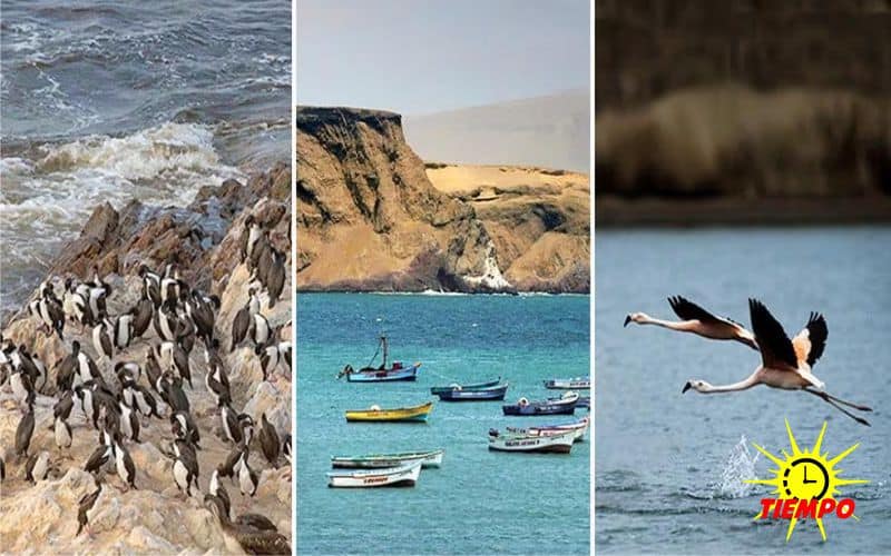 reserva_nacional_de_paracas