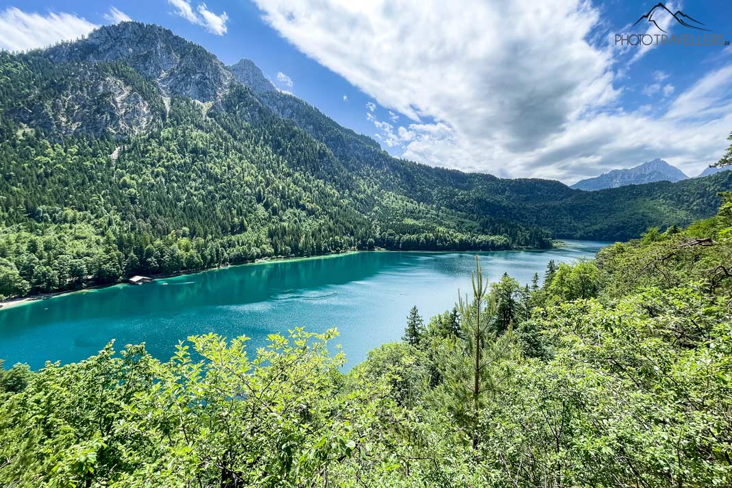 Der Blick über den Alpsee, dahinter die Berge