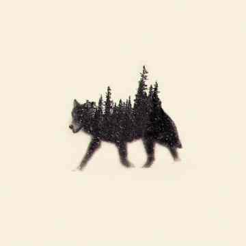 wolf