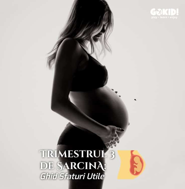 Trimestrul 3 de Sarcina Ghid Sfaturi Utile gravida alb negru