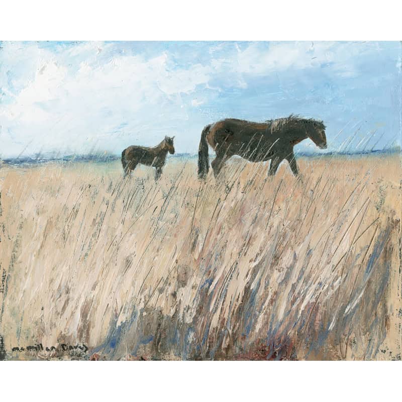 C4503 Mare and Foal, Landacre – Caroline McMillan Davey