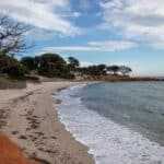 Reiseziele im Herbst, herbst - Reiseziele im Juni Idyllischer Palombaggio Strand mit Pinien - Korsika Rundreise - Reiseziele im Juni