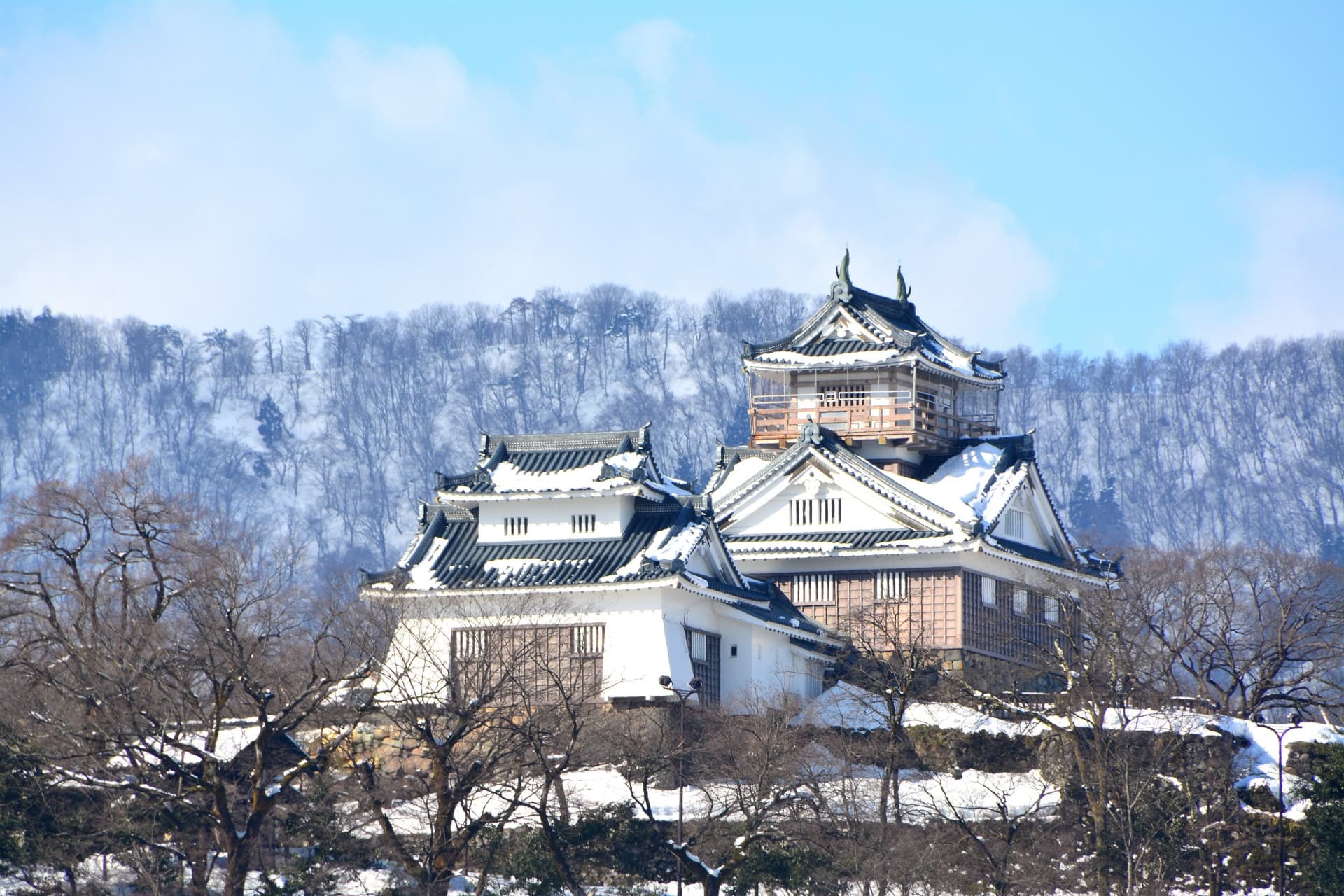 福井県の出張マジック 18 越前大野城