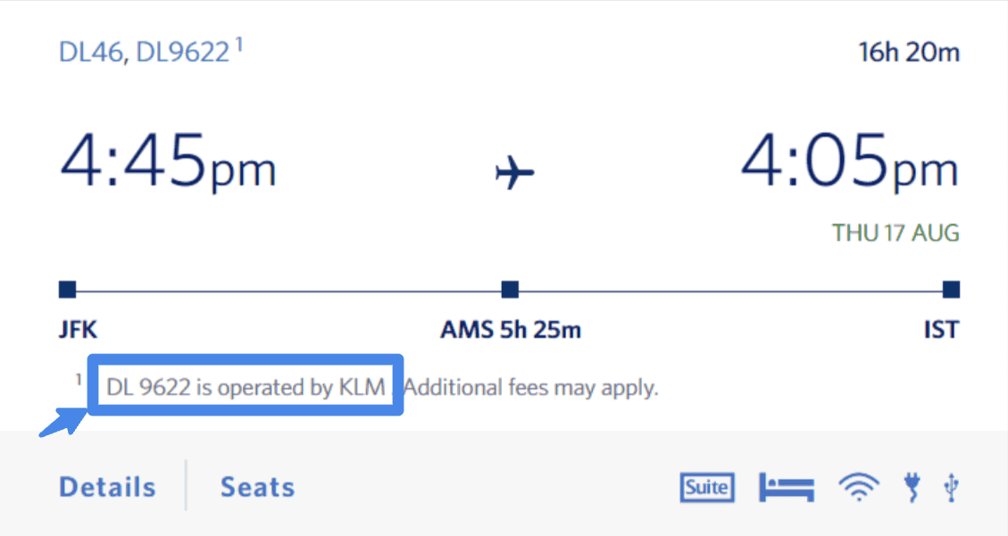 Delta Partner Airlines: The Global Network Behind SkyMiles Value 1 image 52