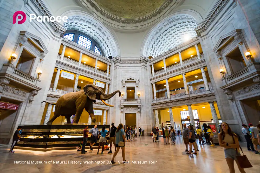 20 Best Virtual Museum Tours: Explore World Art Online for Free 2 National Museum of Natural History, Washington D.C. - Virtual Museum Tour