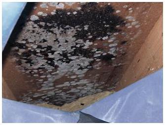 Airtightness 28 Airtightness P3 Image 1