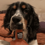 Dog Socialization Training Edina – Go Anywhere Dog®, Edina, MN, Dog Training