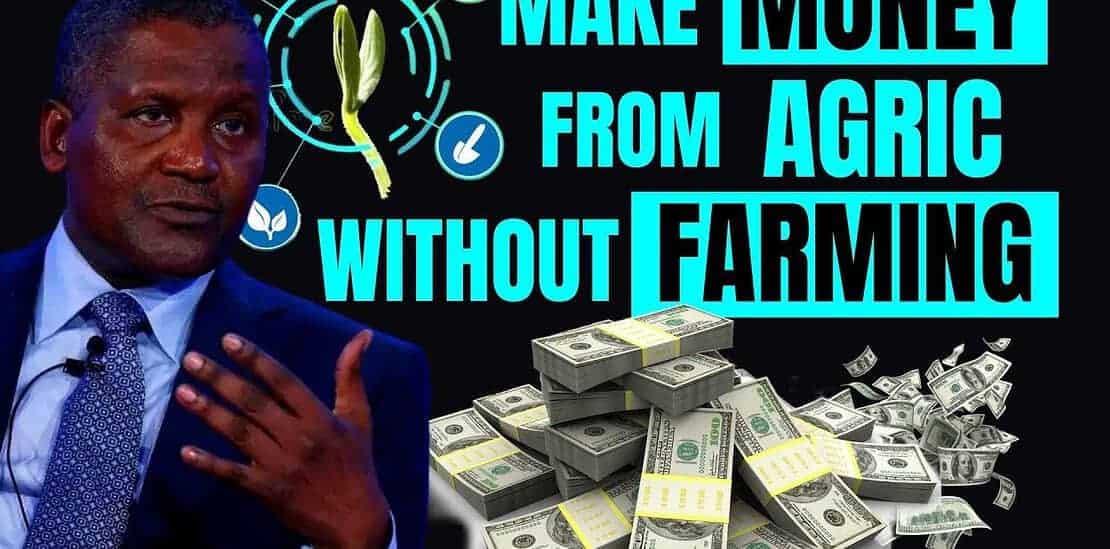 10 profitable agriculture business ideas which requires no farming