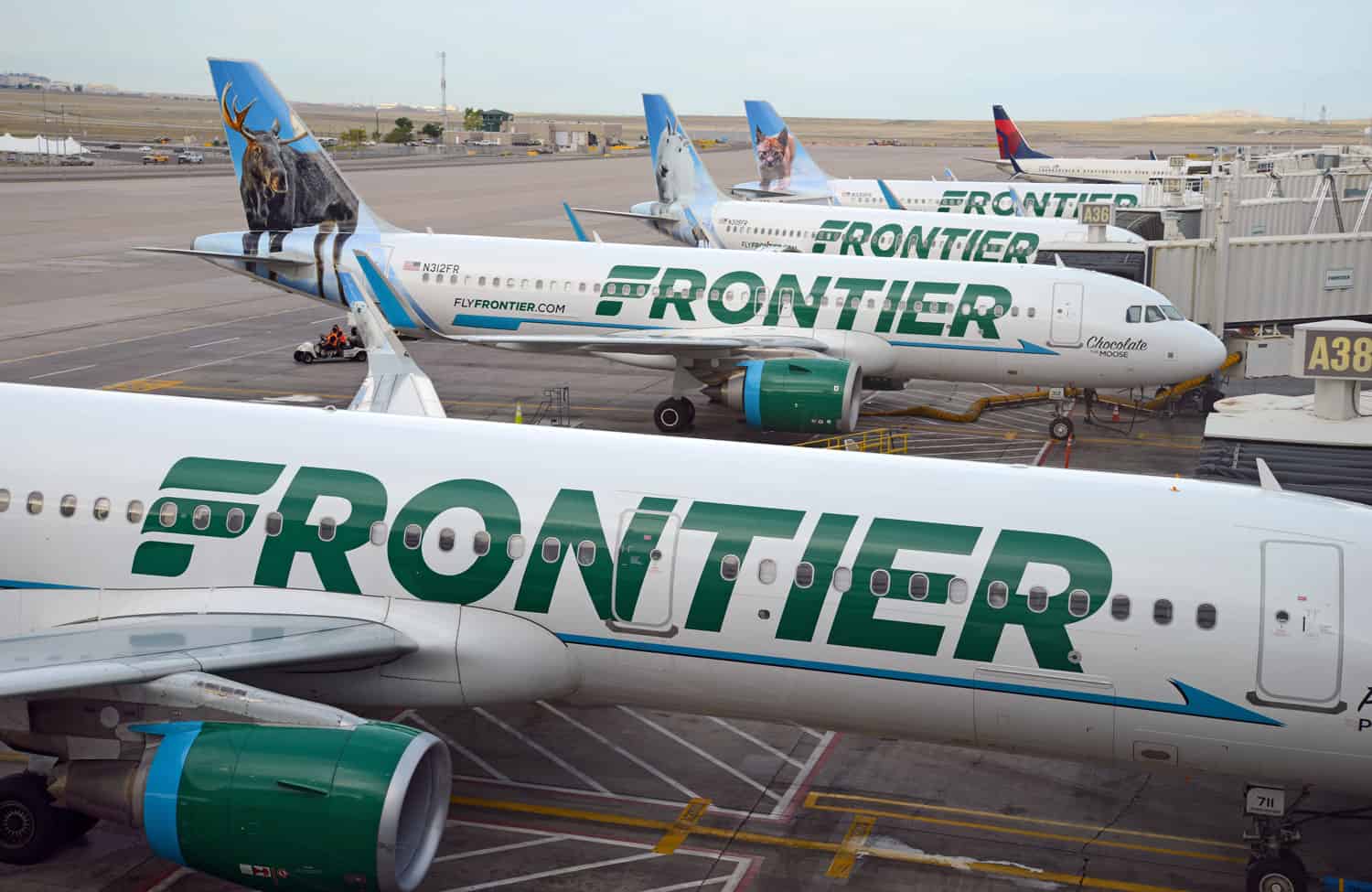 Frontier Go Wild Pass Reviews 12 Frontair pass price