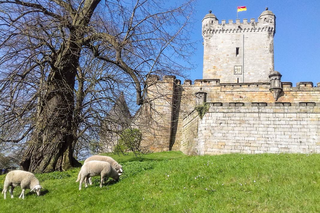 Die Burg Bentheim in Niedersachsen