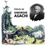 fabule de Gheorghe Asachi gokid