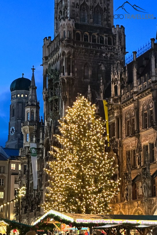 Der erleuchtete Weihnachtsbaum auf dem Marienplatz in München vor dem Neuen Rathaus