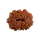 12 Mukhi Rudraksha