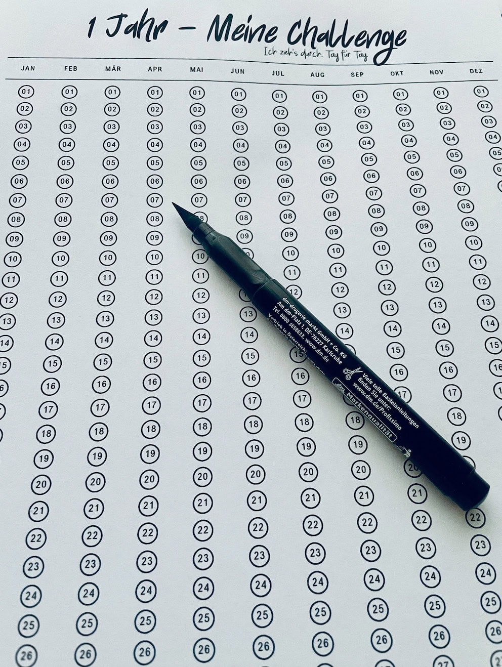 Checkliste neue Vorsätze und Gewohnheite für 1 Jahr zum Ausdrucken und Abhaken