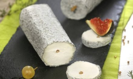 Le chèvre Saint Maure de Touraine