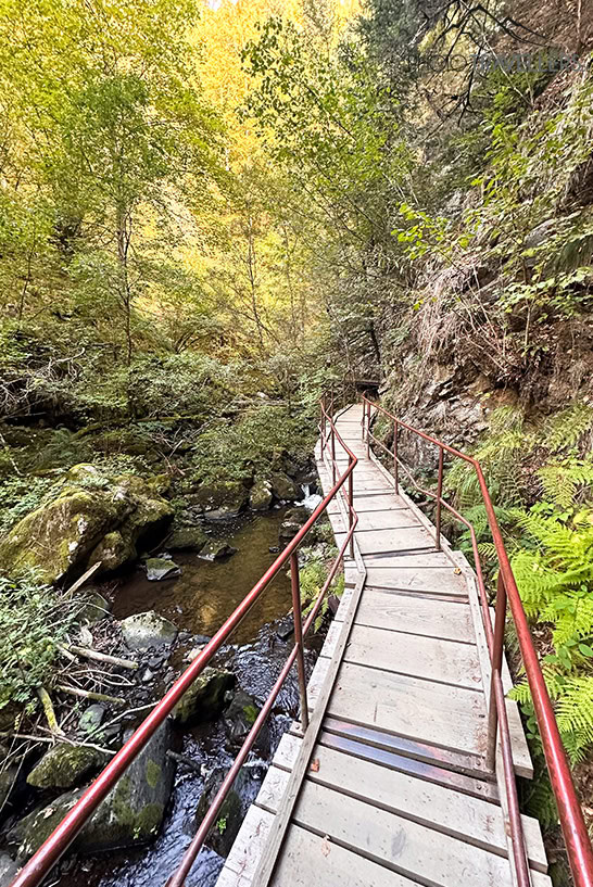 Ein Steg in der Ravennaschlucht im Schwarzwald