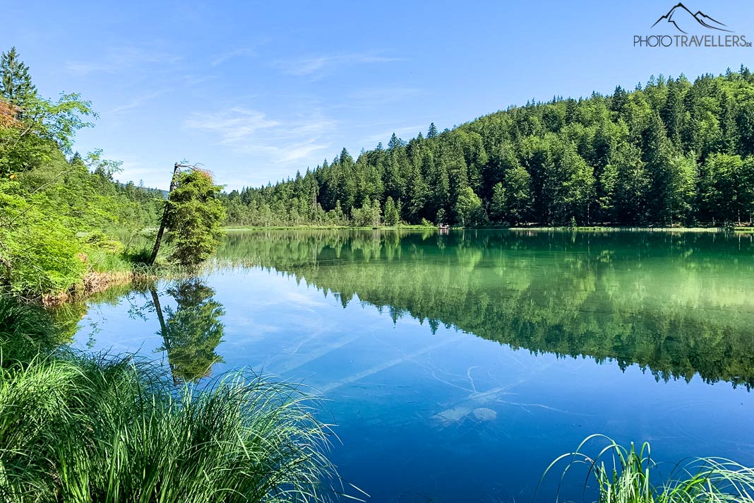 Blick über den Frillensee