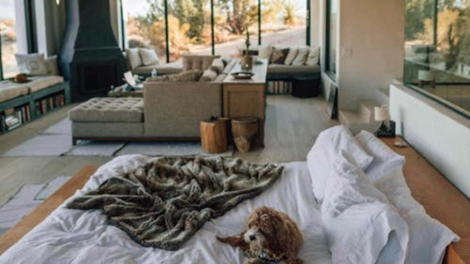 Ditch the Daily Grind: Explore the World's Most Luxurious Desert Homes