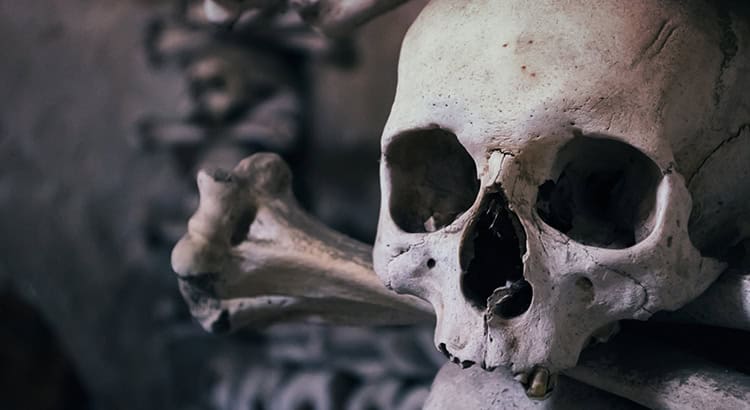Halloween 2018 Reisekompass