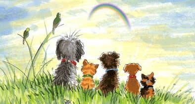 Cielo de las mascotas tras el puente arcoiris