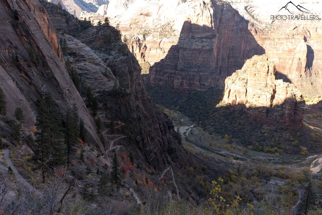 Der Blick von oben auf die Serpentinen des East Rim Trails im Zion Nationalpark