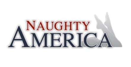Top 10 Adult Websites Where You Can Pay with Cryptocurrencies 22 Naughty America logo