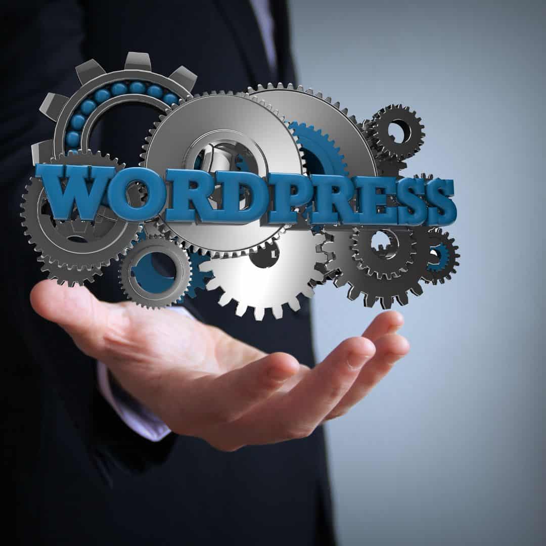 How to Create a Basic WordPress Website (Beginner Blogger Guide + Kadence Theme Steps) 1 basic wordpress website