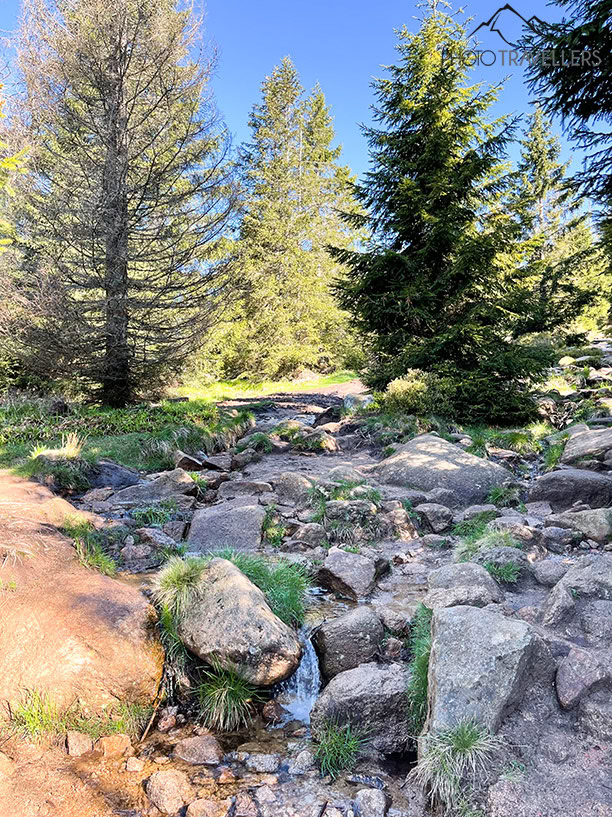 Der Wanderweg auf den Brocken verläuft zum Teil im Bachbett