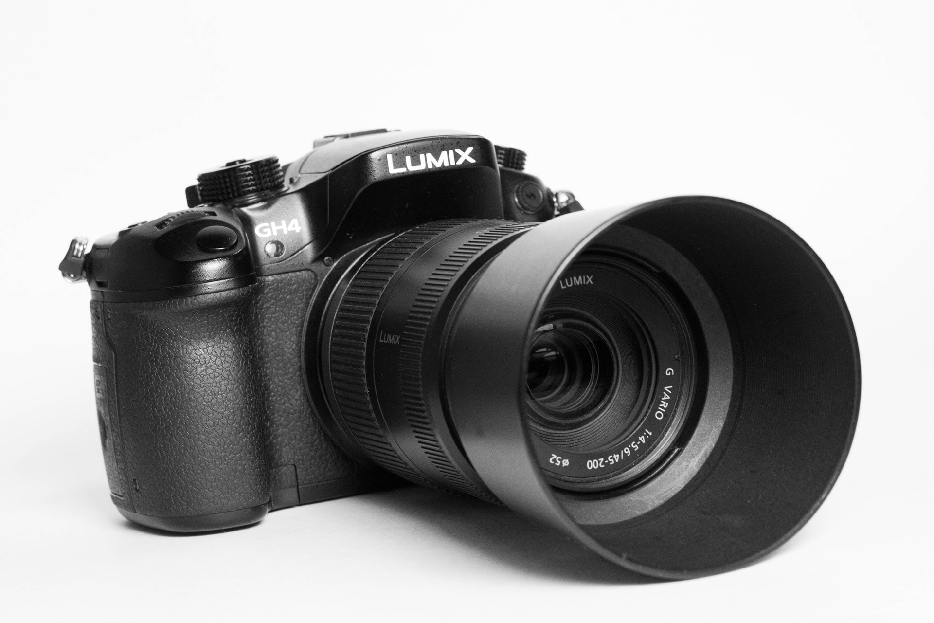 Mirrorless camera as an option for a best camera for safari