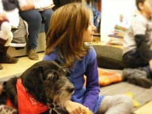 61291510_2357642264492814_6387060812367790080_n