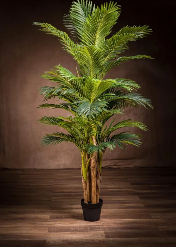 Vista frontale della Kenzia finta. La pianta è alta 180 cm e ha foglie sottili ed eleganti. - Kenzia finta, 190 cm, foglie eleganti