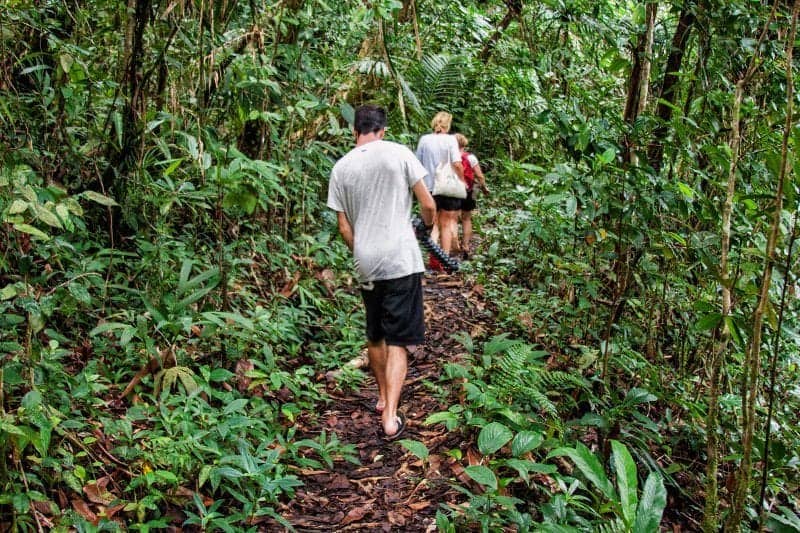 palau wynajem samochodu