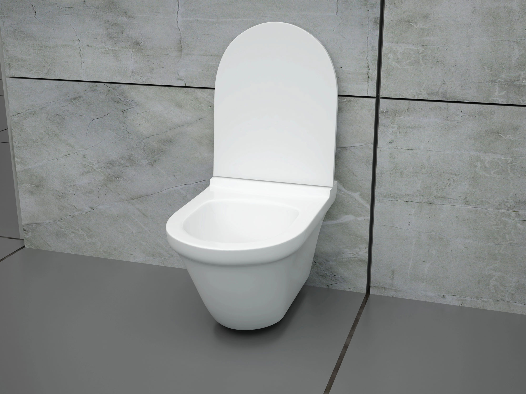 toilette masse