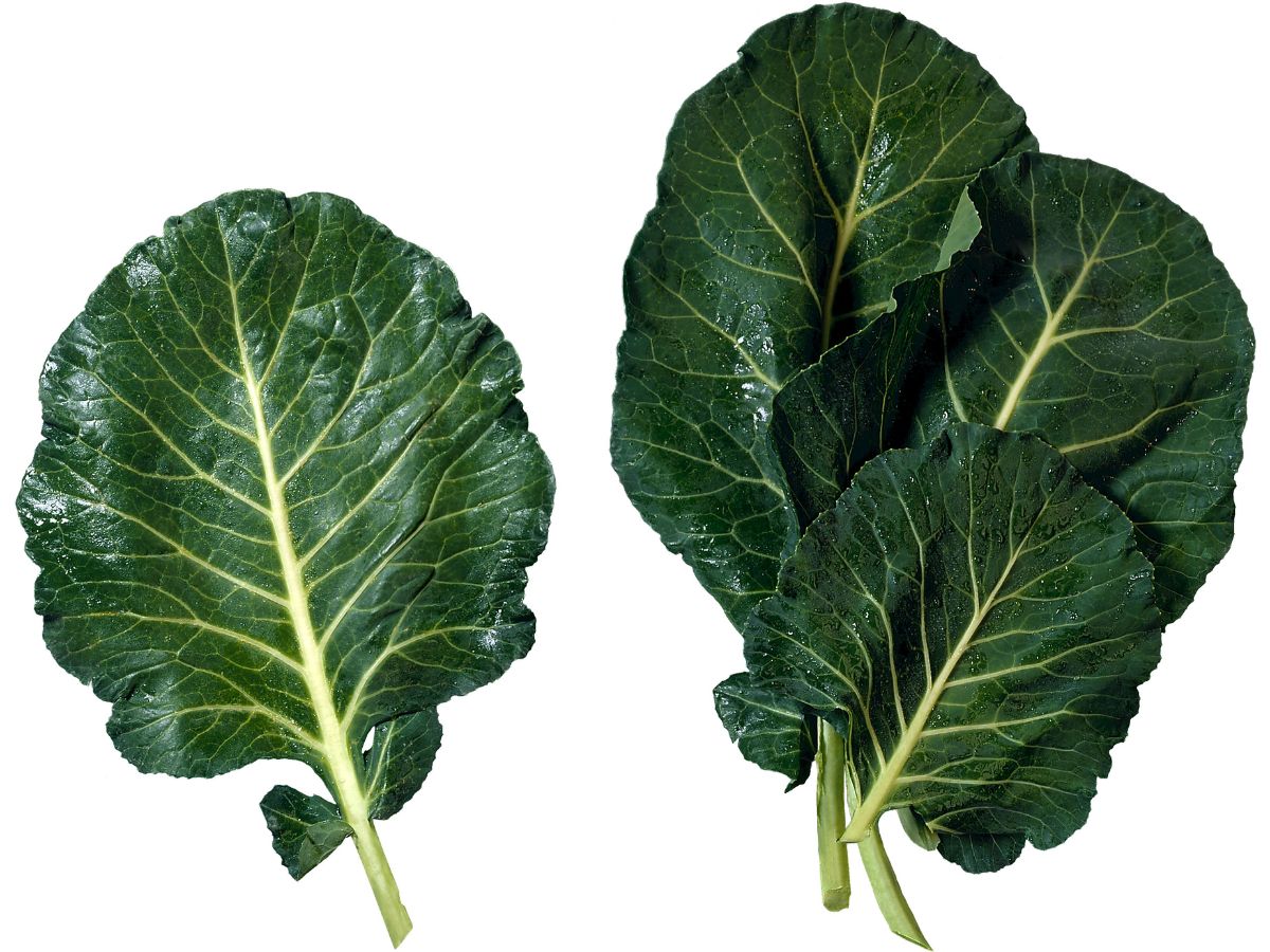 Seasonal Eating Secrets: 7 Winter Fruits | Vegetables Black Women 50+ Should Know About Seasonal Eating Secrets: 7 Winter Fruits | Vegetables Black Women 50+ Should Know About - Best Spa and Salon Abuja