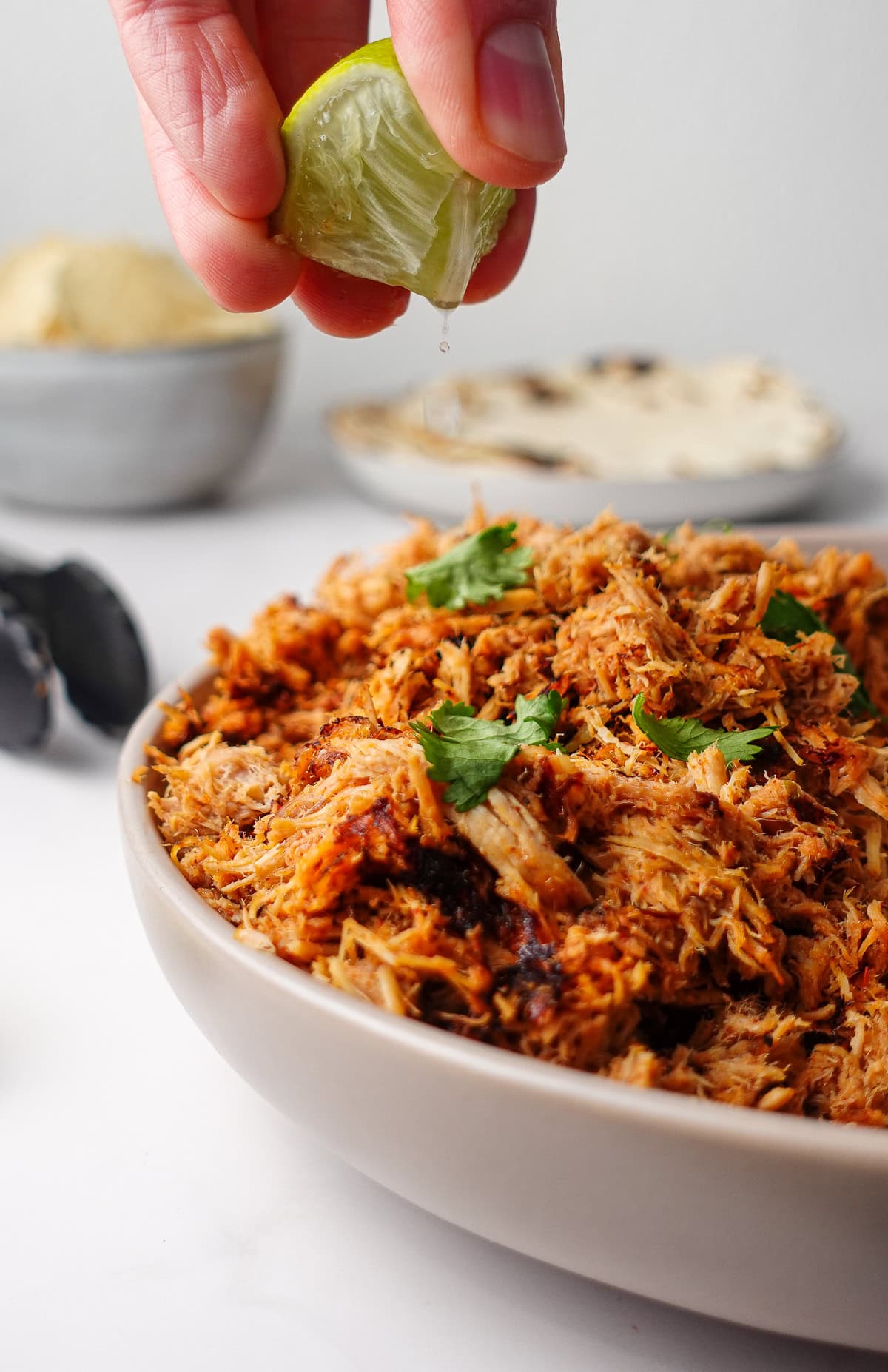 leftover shredded pork