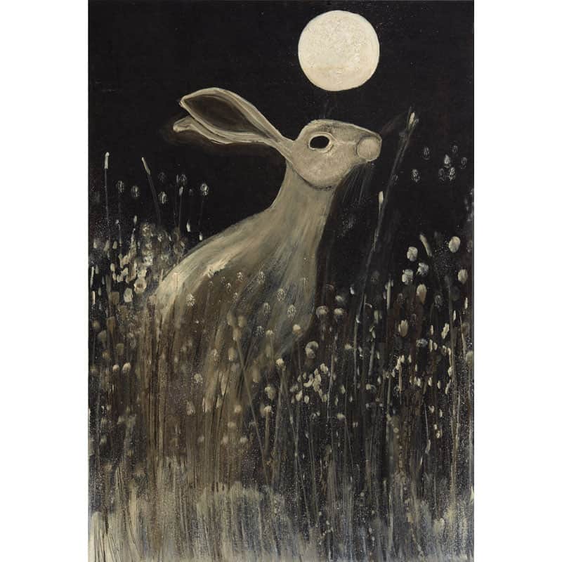 DH02 Night-time Hare