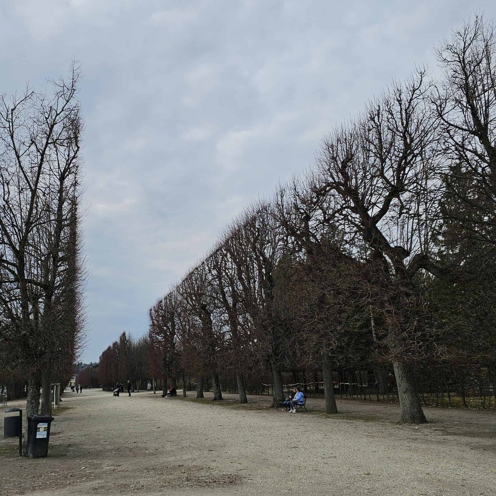 Parcul palatului Schönbrunn