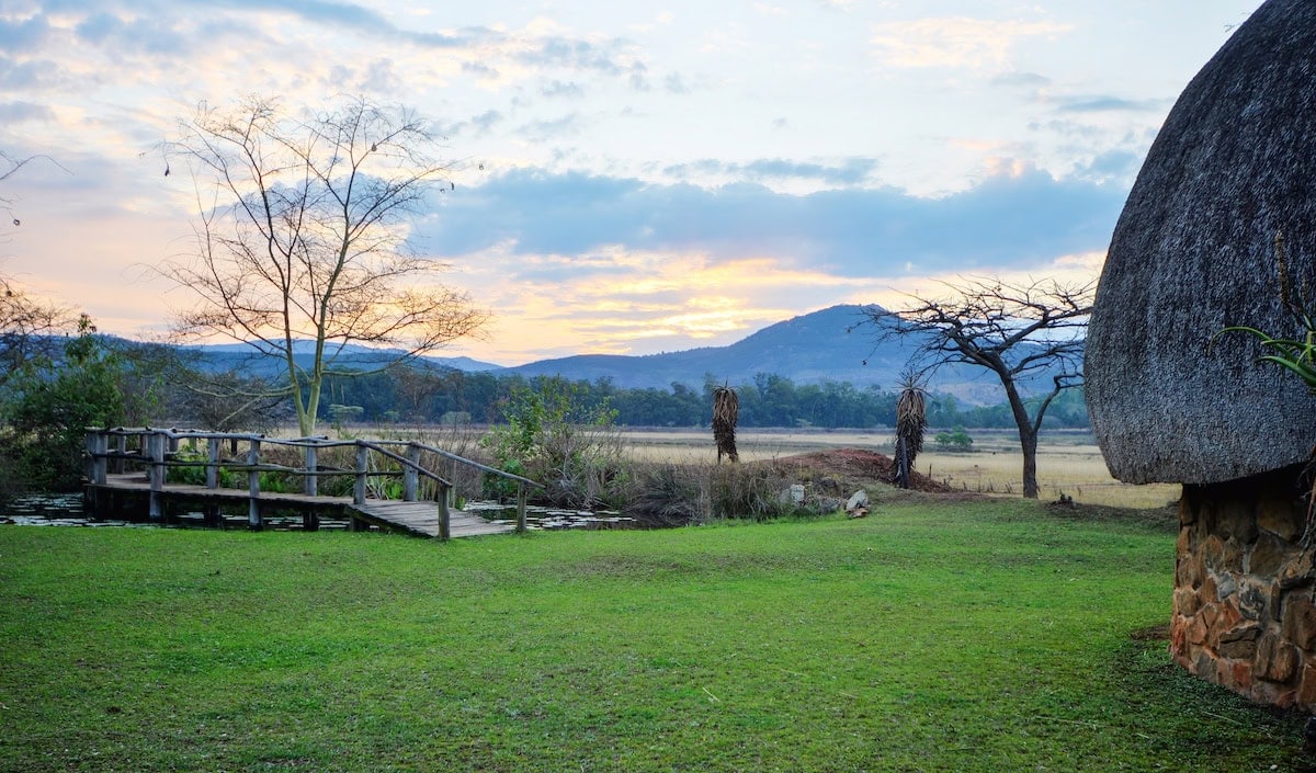 Eswatini National Parks: A Comprehensive Guide to Hlane Royal National Park, Mkhaya Game Reserve, and Mlilwane Wildlife Sanctuary