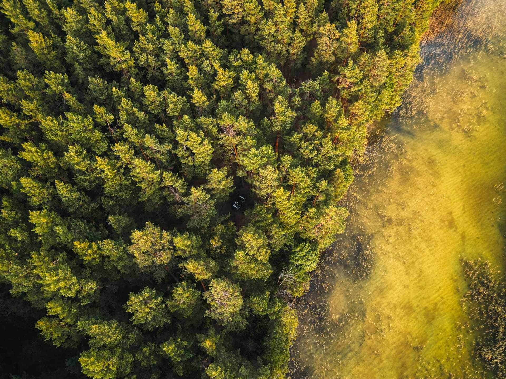 DJI_0673 baltikum rundreise,stellplätze Baltikum,die schönsten Stellplätze -