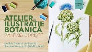 36617948_240949933163690_8991791128286068736_o