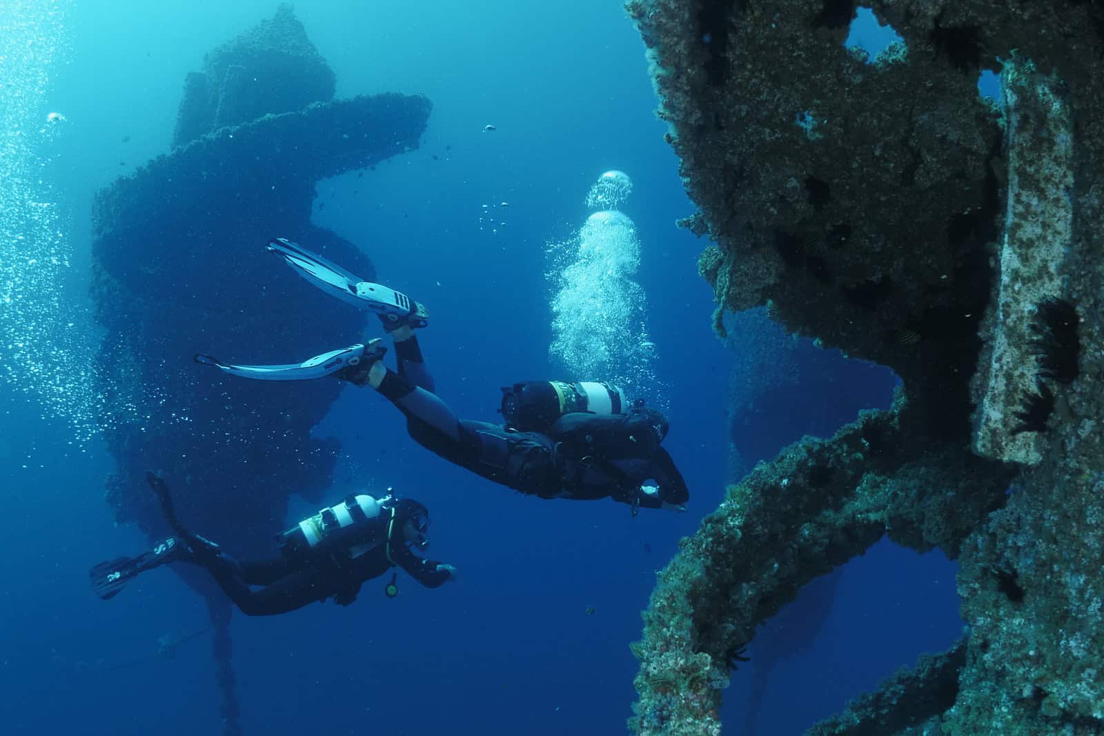 Wonder Reef