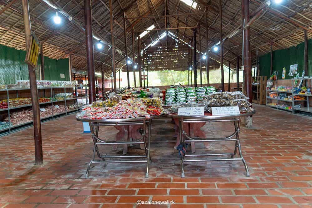 delta mekongu