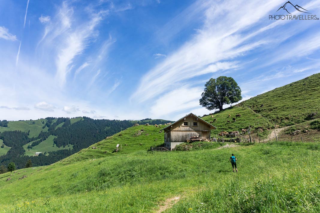 Biggi vor der Alpe Gratvorsäß