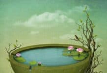 Verde Albastru. Poveste Terapeutică despre Iubire și Acceptare de Sine | PDS #168 lac Verde Albastru Poveste Terapeutica despre Iubire Acceptare de Sine