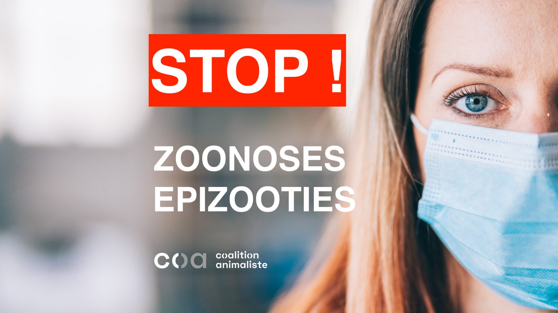 stop-zoonose-epizootie-2000x1125px