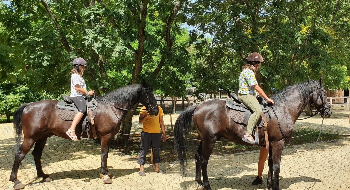 Afis ForEvEr Afterschool calarie Summer School