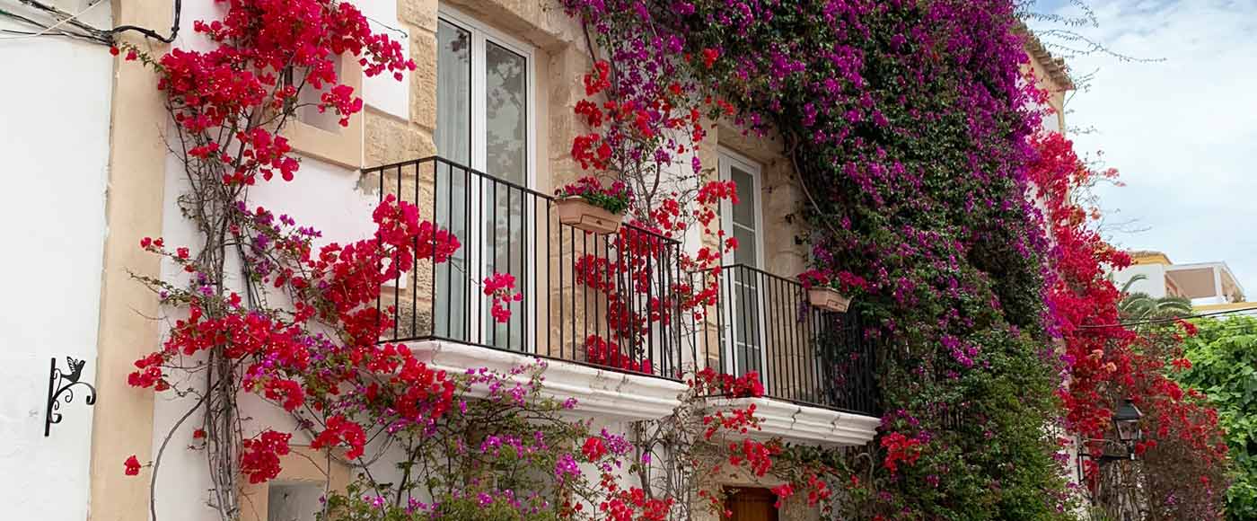 Highlights und Sehenswürdigkeiten in Ibiza Stadt (Eivissa)