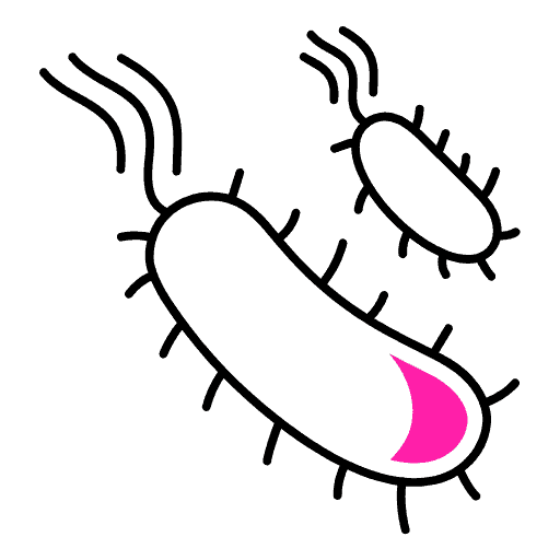 Памуклийка срещу бактерии и гъбички