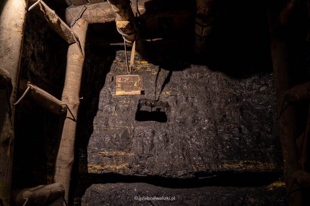 sztolnia królowa luiza