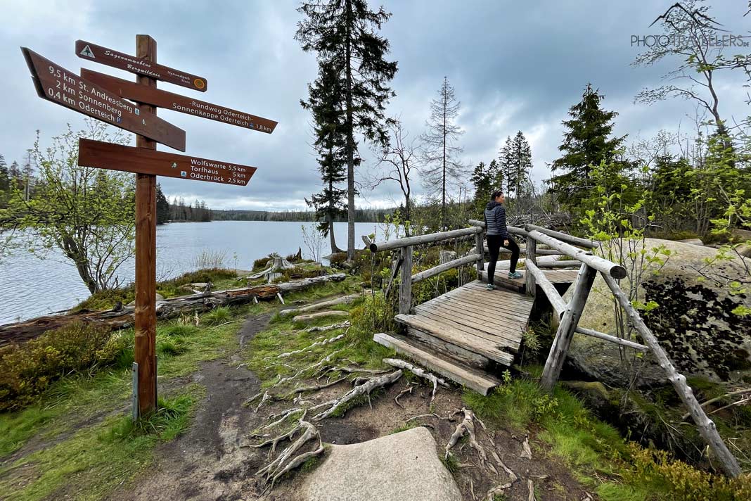 Reisebloggerin Biggi Bauer auf einer Holzbrücke auf dem Oderteich-Rundweg im Harz
